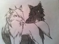 love wolves fav animal xd