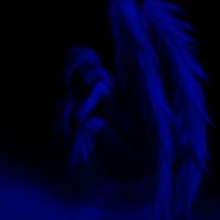 Meet New People like ᵀᴴᴱ ǿяιg� NB=B on myYearbook