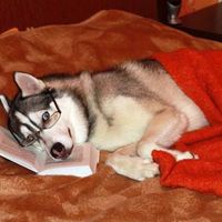 Meet New People like Big Dog~Buck|CKT ~ on myYearbook