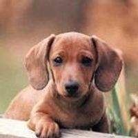 Meet New People like B2BWV~A|CKTTNO|CUE HUBBY~CRICKETT'S  on myYearbook